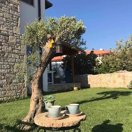Begonvilla Villa Datça