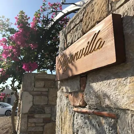 Begonvilla Villa Datça