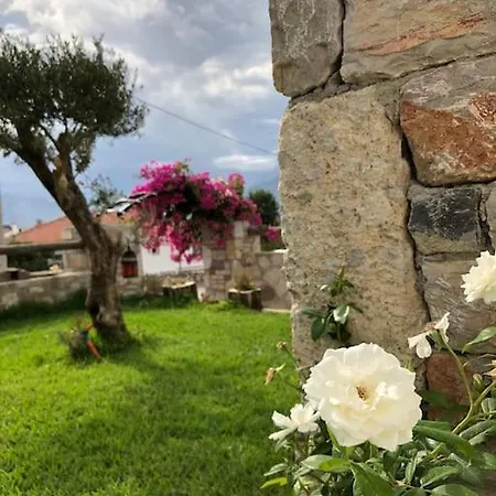 Villa Begonvilla