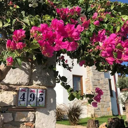 Begonvilla Datca